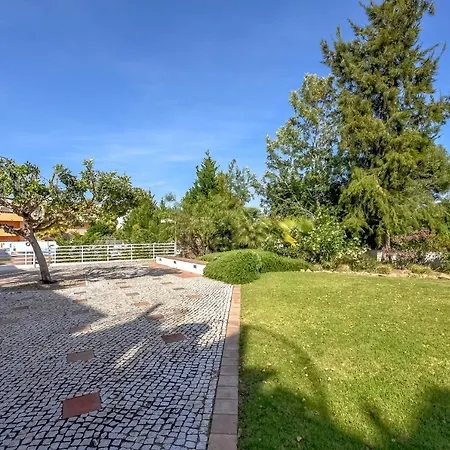 Claude Viguie Conceição